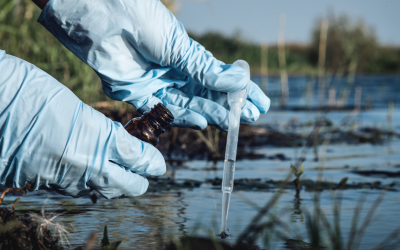 Les impacts environnementaux des fuites d’eau non réparées